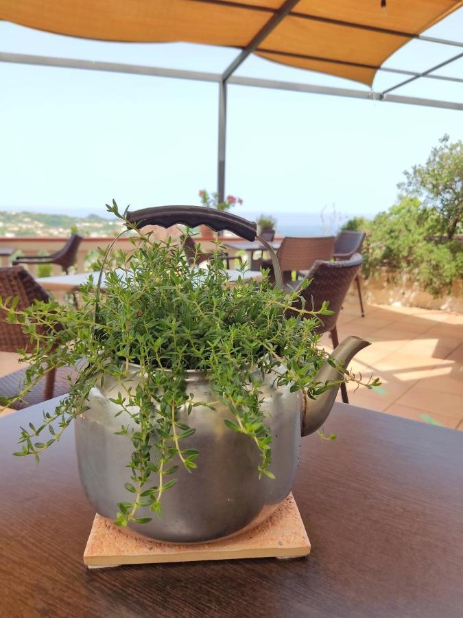Hotel Ape Regina Casamicciola Terme ภายนอก รูปภาพ