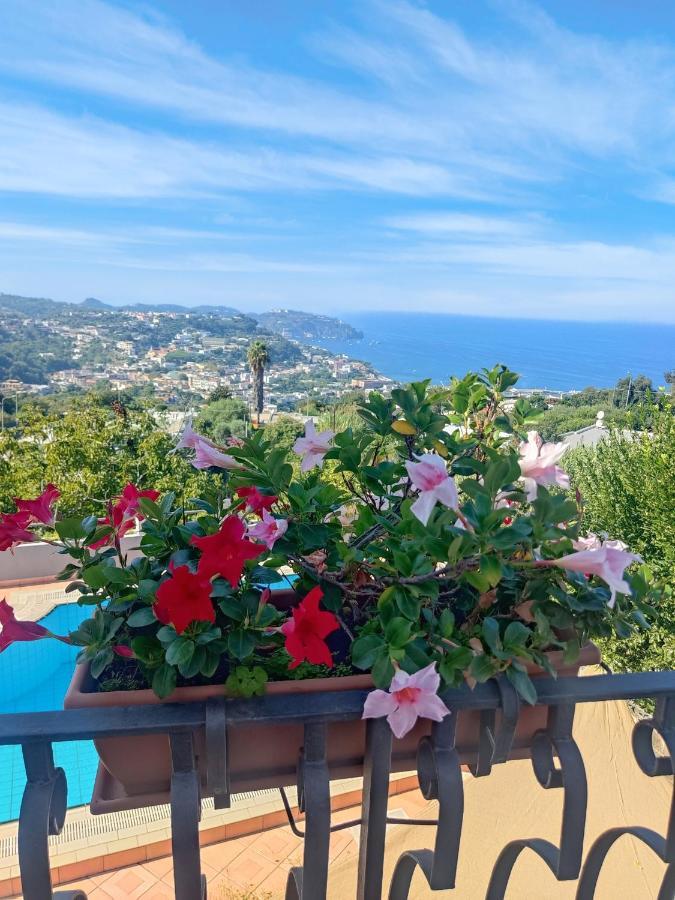 Hotel Ape Regina Casamicciola Terme ภายนอก รูปภาพ