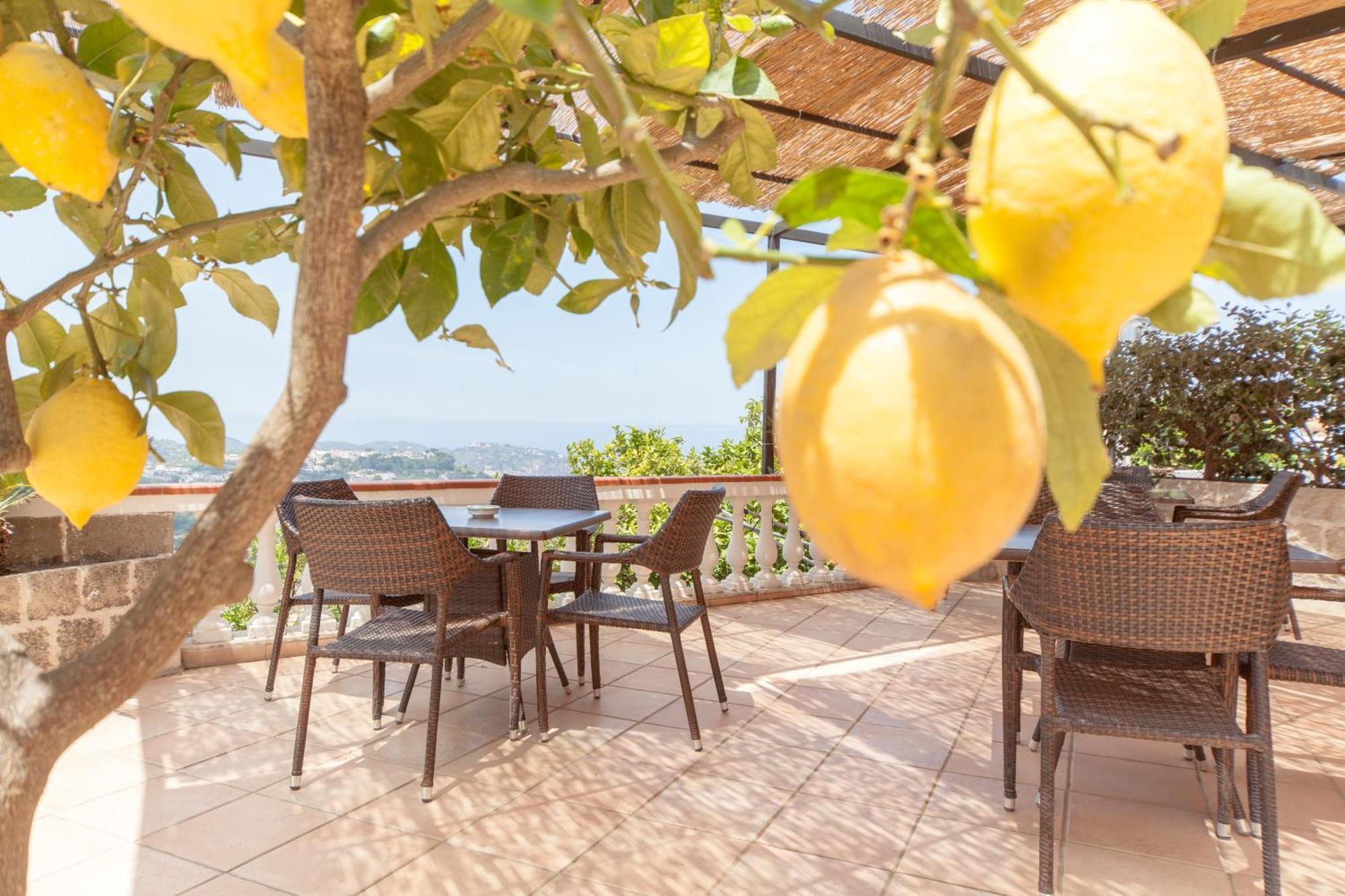 Hotel Ape Regina Casamicciola Terme ภายนอก รูปภาพ